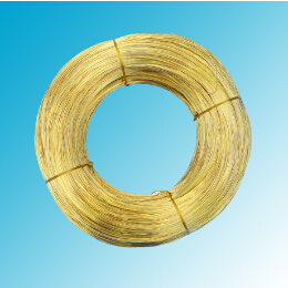 世界怎么了？黃銅圓線得多讀書多看報了